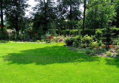 trawnik ogród